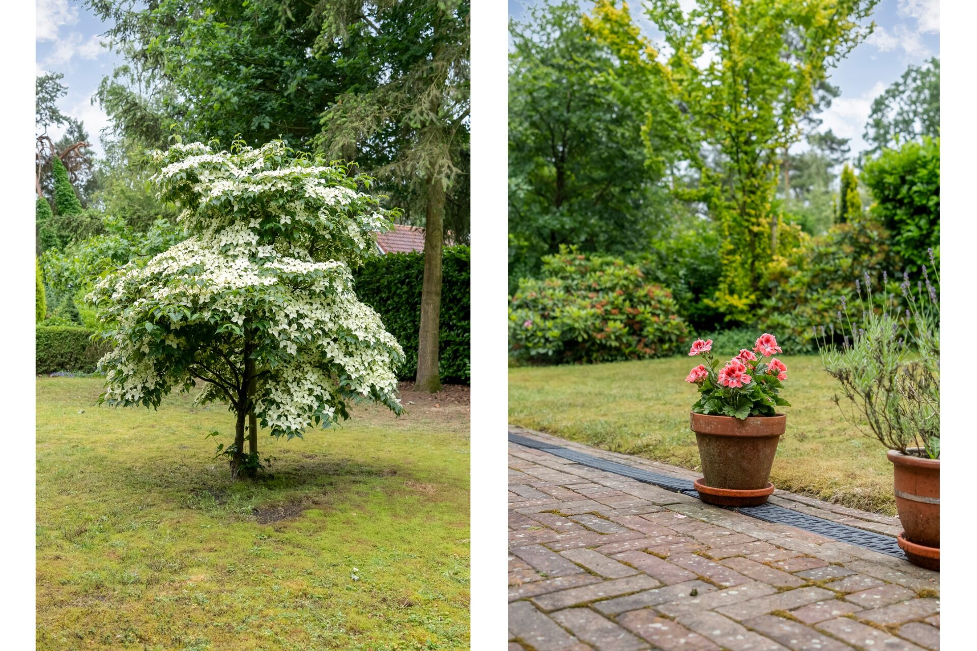 Foto 29